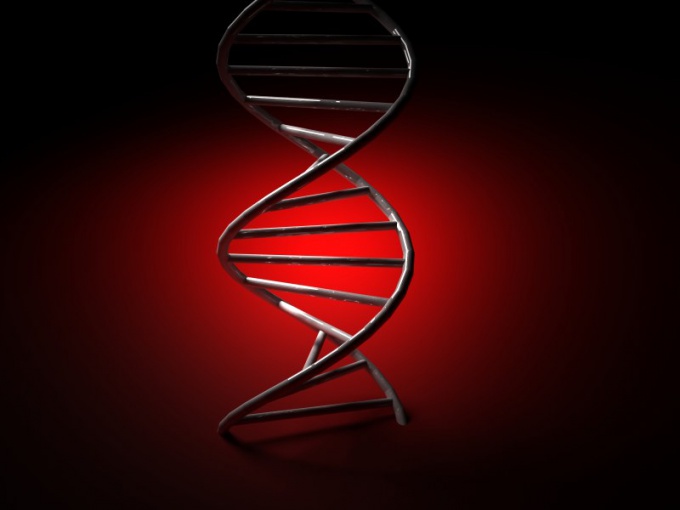 DNA 검사를 통과하는 법